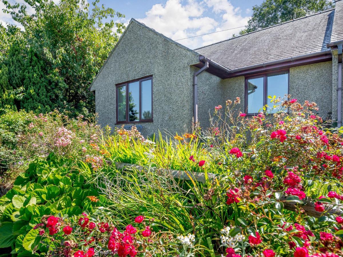 Llety Nest Villa Llanfachreth Kültér fotó